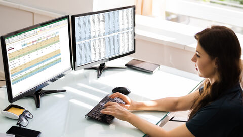 Junge Frau, die auf ihrem PC mit Windows-Programm Excel arbeitet