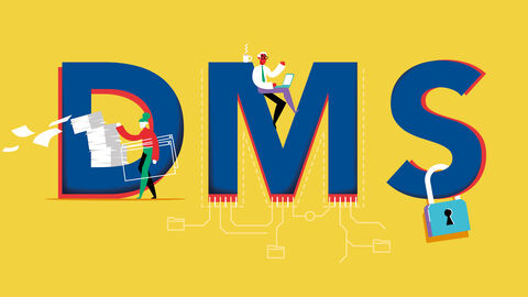 Vor gelbem Hintergrund ein blauer Schriftzug „DMS“, der mit stilisierten Figuren und einem Sicherheitsschloss verziert ist