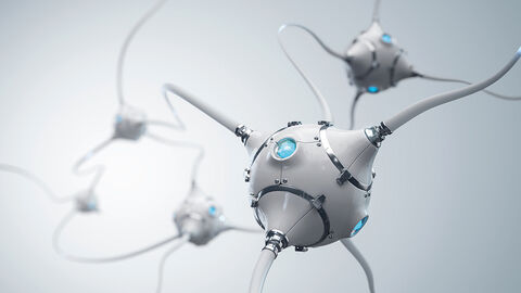 Dreidimensionales Gebilde, das dem Nervensystem nachempfunden ist und dessen Nervenzellen an Taucherglocken erinnern